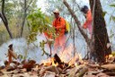 Preservação ambiental