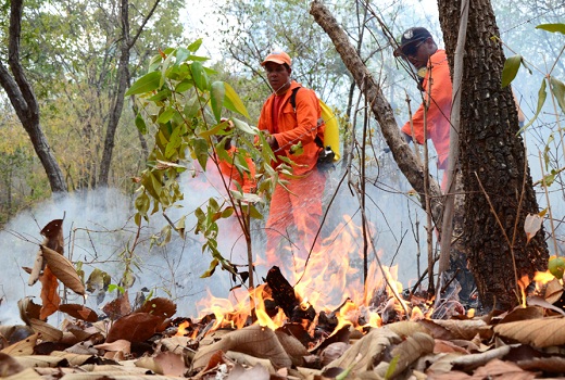 Preservação ambiental